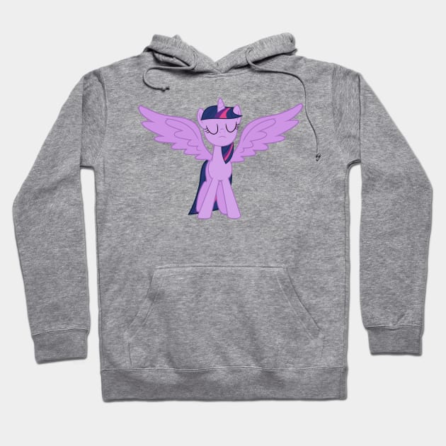 Wissle Triumphant Princess Twilight Sparkle Hoodie